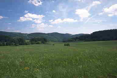 Alm landschaft bei Wienau